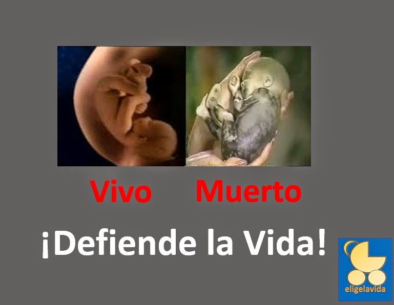 El medio de las lombrices del espectro ancho de la acción para la persona el precio
